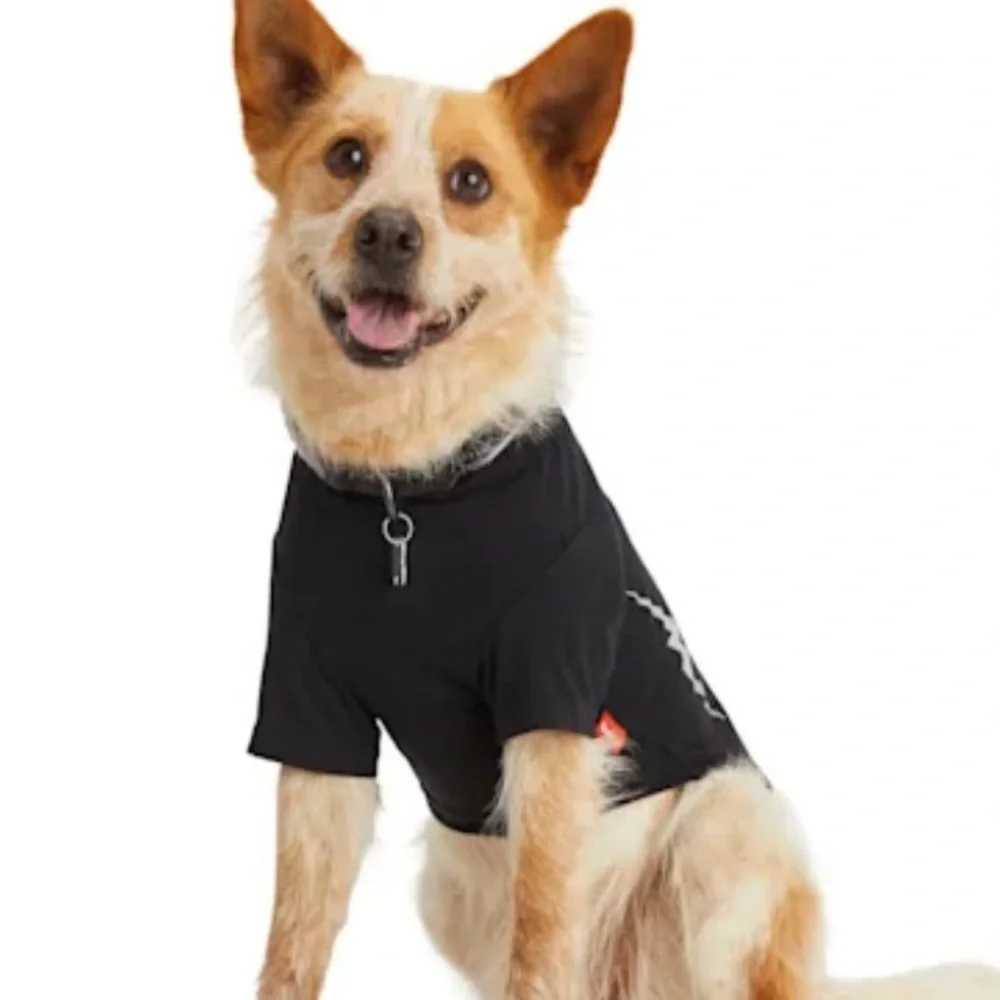 NWT reflective lightening bolt dog tee t-shirt XXXL